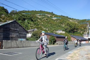 色づくみかん山を眺めながら再スタート