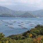 養殖筏が浮かぶ宇和海