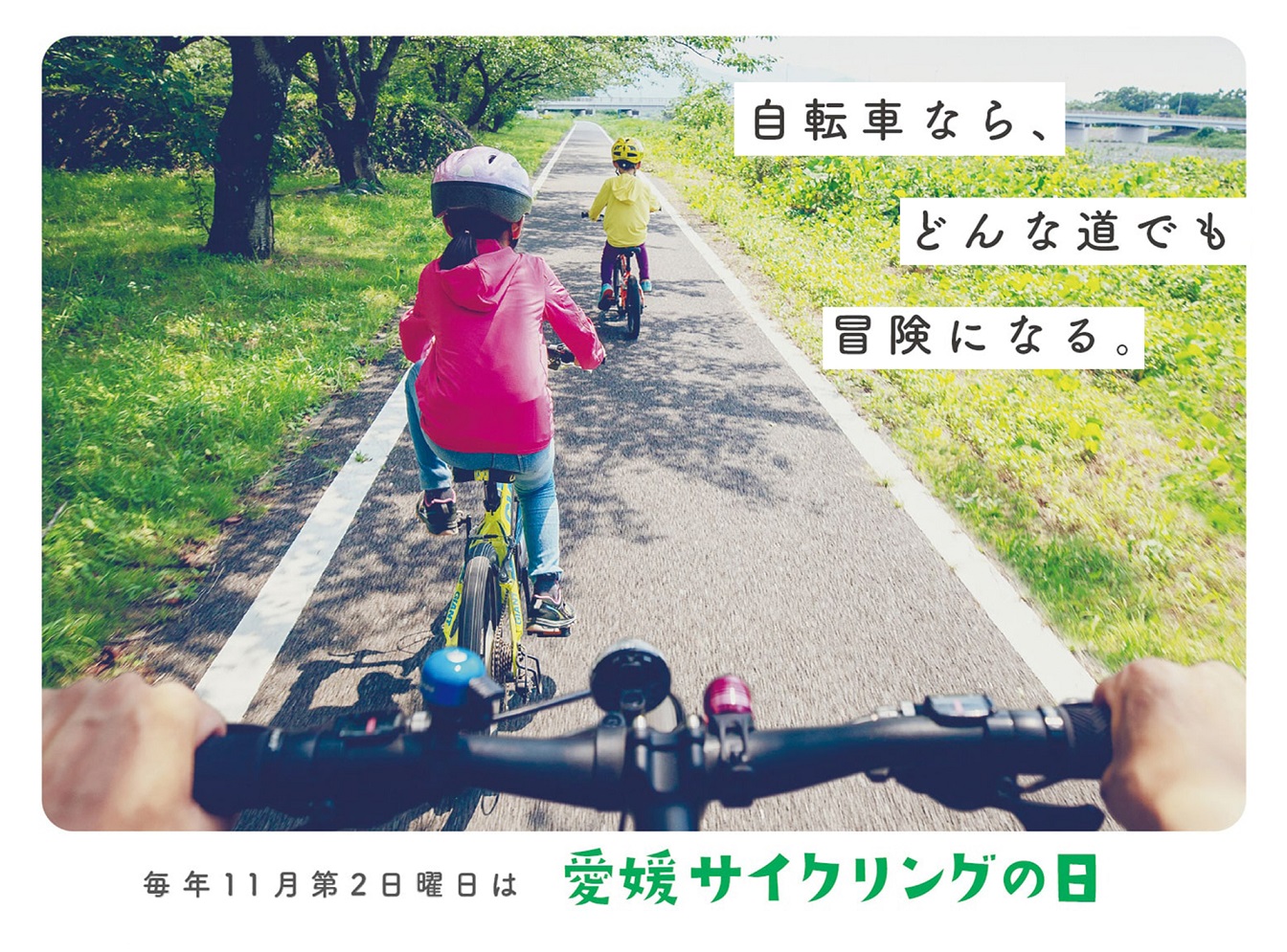 愛媛 自転車