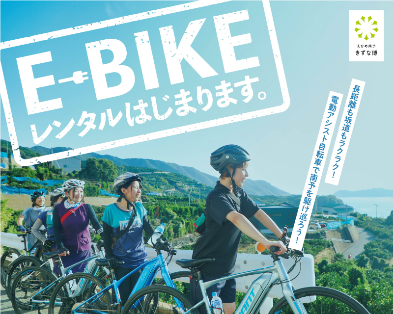 【ポスター】e-bike-rental